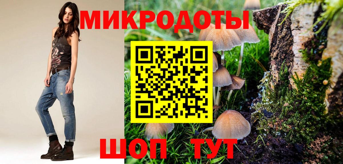 Псилоцибиновые грибы MAGIC MUSHROOMS  Вход с VPN  Ефремов 