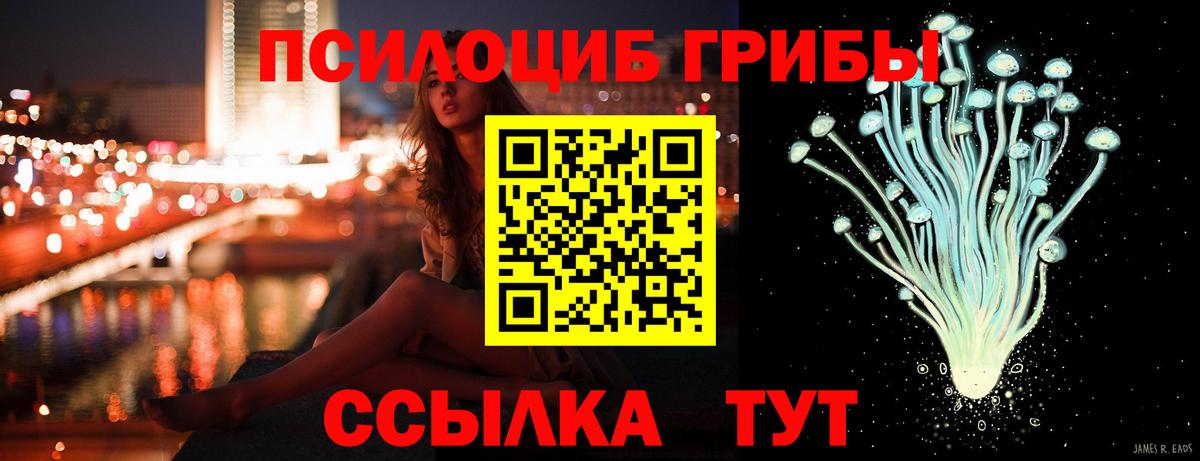 Галлюциногенные грибы Psilocybe Ефремов
